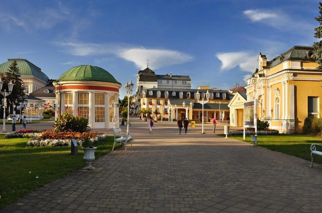 Apartman Vs Frantiskovy Lazne Exterior foto